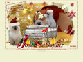 Chatterie du Joyau de Saphir